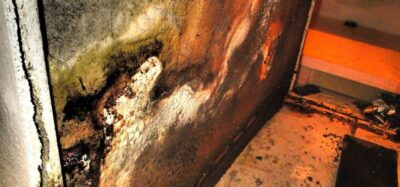 PIcture of Mold In Home