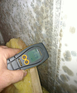 Mold on wall being tested.