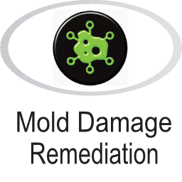 Mold damage icon